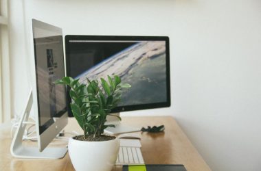 What Is a CMS? Comparing Today’s Most Popular Content Management Platforms