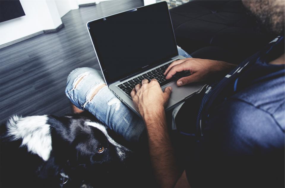 thiết kế website phòng khám thú y minh hoạ