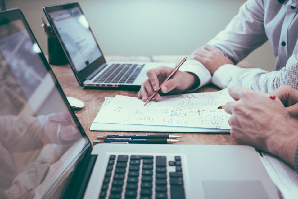 thiết kế website phòng khám thú y